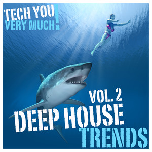 Perfect Day (Paul Phusion Deep Remix)