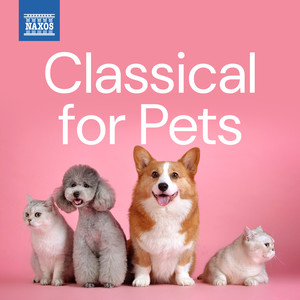 For Children, Vol. 1, Sz. 42 (Excerpts) - For Children, Vol. 1, Sz. 42 (Excerpts) : No. 26, Dance with Me. Andante [Transcr. F. Ránki] [1945 Radio Version]