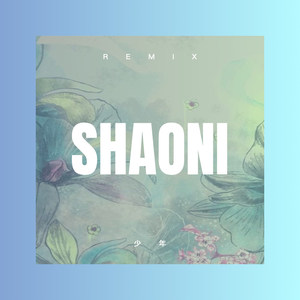 错过就错过 (DJ版)