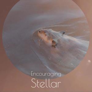 Encouraging Stellar