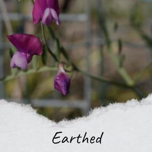 Earthed