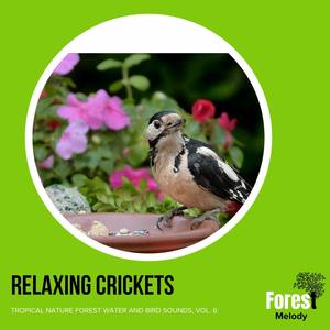 Relaxing Crickets - Tropical Nature Forest Water and Bird Sounds, Vol. 6