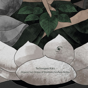 Futurefunk (Ocean of Emotion Remix)