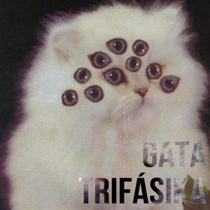 GATA TRIFÁSIKA (Explicit)