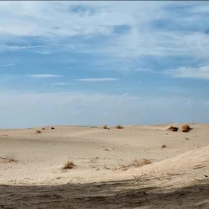 Shaka De Virgo (Sencillo) (Explicit)