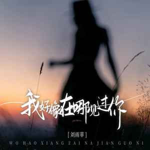 我好像在哪见过你 (DJ版)