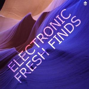 Electronic Fresh Finds