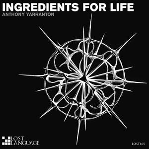 Ingredients For Life (Cosmithex Remix)