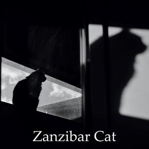 Zanzibar Cat