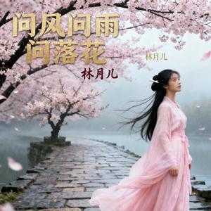 问风问雨问落花 (男版)