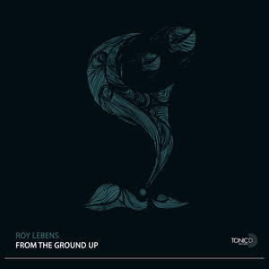 From The Ground Up (Original Mix)