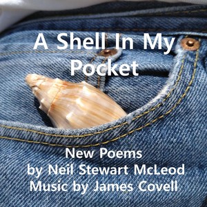 A Shell in My Pocket