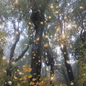 #try meee (feat. 1spxce) (Explicit)