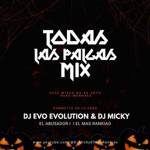 Mix Todas Las Palgas (feat. Dj Evo Evolution)