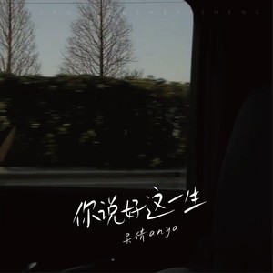 你说好这一生 (伴奏)