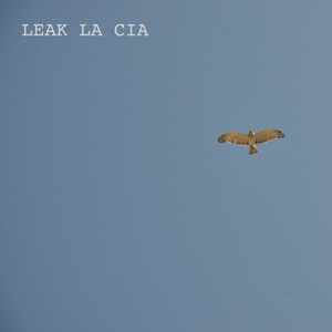 Leak La Cia