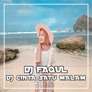 DJ CINTA SATU MALAM