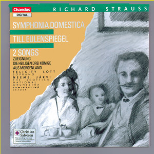 Strauss: Sinfonia Domestica and other Orchestral Works