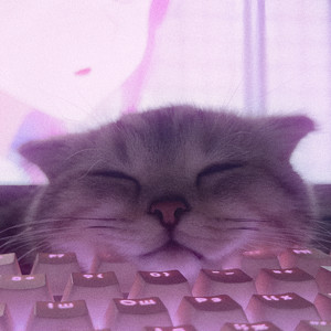 КИСИ-КИСИ МЯУ-МЯУ