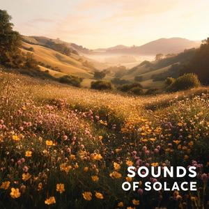 Sounds of Solace