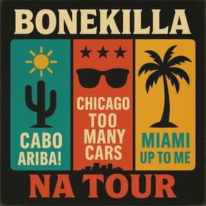 TOO MANY CARS (Explicit)