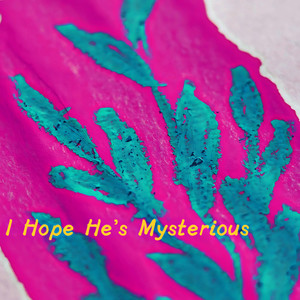 I Hope He's Mysterious
