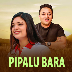 Pipalu Bara