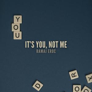 It's You, Not Me (Explicit)