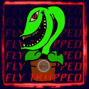 Fly Trapped