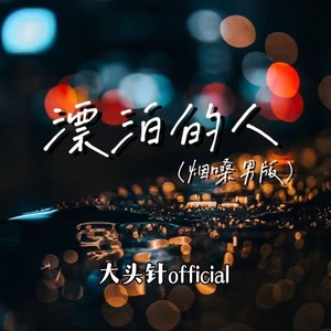 漂泊的人 (烟嗓男版)封面