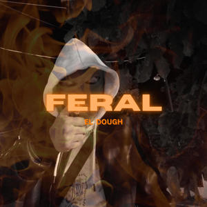 FERAL (Explicit)