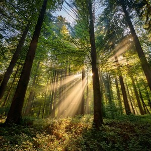 Floating Down The Moment