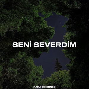 Seni Severdim