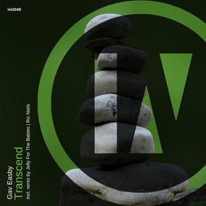 Transcend (Ric Niels Remix)