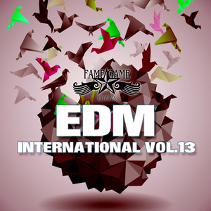 EDM International, Vol. 13