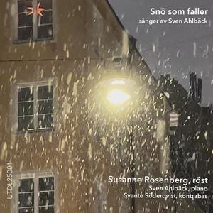 Snö som faller