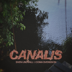 Canalis