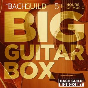 Big Guitar Box