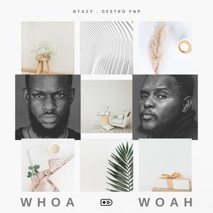 Whoa Woah (feat. Destro FNP)