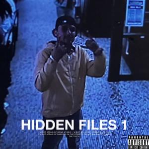 Hidden Files i (Explicit)