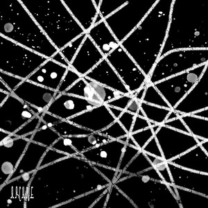 end (Intro|Explicit)