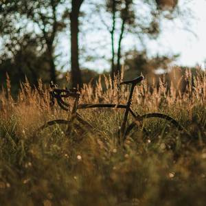 MC ND (Remix|Explicit)