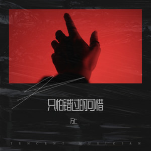 只怕错过的可惜