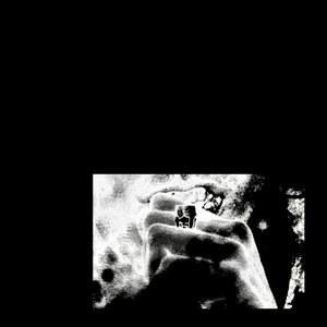 WINNIE 'N' HONEY (Explicit)