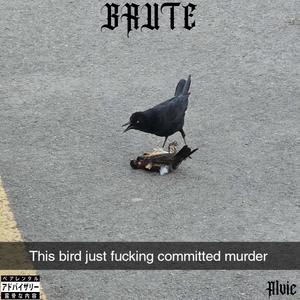 BRUTE (Explicit)