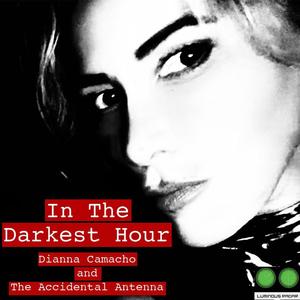 In The Darkest Hour (feat. Dianna Camacho, Michael Oblowitz, Augie Myers, Anton Fig, Tony Garnier, Doug Scott & Paul Buchholz)