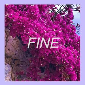 Fine