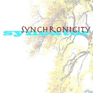 Synchronicity