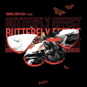 Coopex - Butterfly Effect