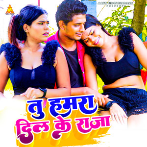 Tu Hamra Dil Ke Raja